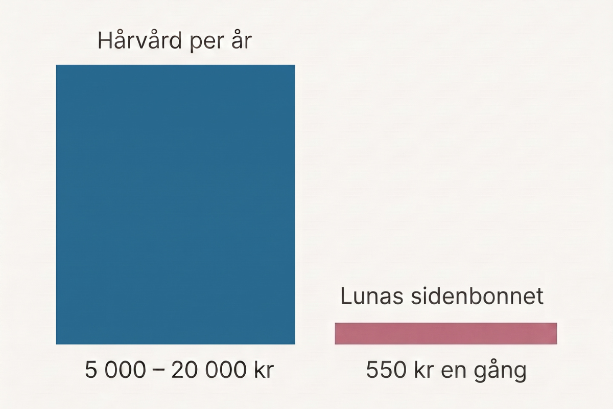 Jämförelse årskostnad och bonnet